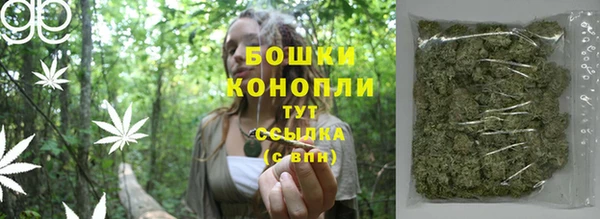 гидра Дмитров