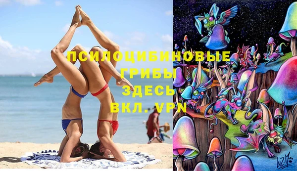 гидра Дмитров